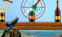 Sniper Bottle Shooting Expert